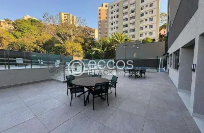 Apartamento à venda, 2 quartos, 1 suíte, 2 vagas, são lucas - belo horizonte/mg