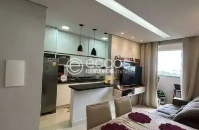 Apartamento à venda, 2 quartos, 1 suíte, 1 vaga, presidente roosevelt - uberlândia/mg