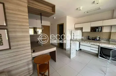 Apartamento para aluguel, 1 quarto, 1 suíte, 2 vagas, morada da colina - uberlândia/mg