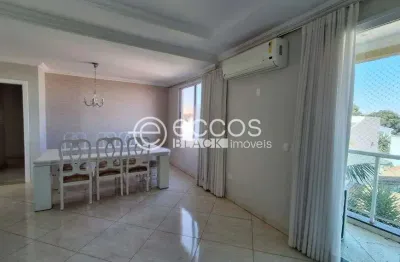 Apartamento para aluguel, 3 quartos, 2 suítes, 2 vagas, lagoinha - uberlândia/mg
