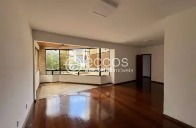 Apartamento para aluguel, 4 quartos, 1 suíte, 2 vagas, são pedro - belo horizonte/mg