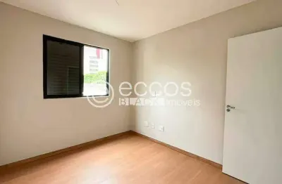 Apartamento à venda, 2 quartos, 2 suítes, 2 vagas, são pedro - belo horizonte/mg