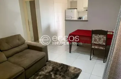 Apartamento à venda, 2 quartos, 1 vaga, santa maria - uberaba/mg