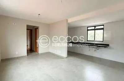 Apartamento à venda, 2 quartos, 2 suítes, 2 vagas, são pedro - belo horizonte/mg