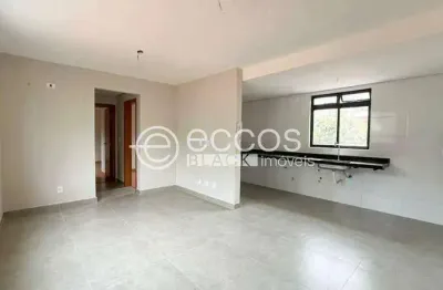 Apartamento à venda, 2 quartos, 2 suítes, 2 vagas, são pedro - belo horizonte/mg