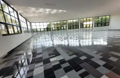 Imóvel comercial para aluguel, jardim das palmeiras - uberlândia/mg