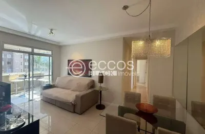 Apartamento para aluguel, 2 quartos, 1 suíte, 2 vagas, alphaville lagoa dos ingleses - nova lima/mg