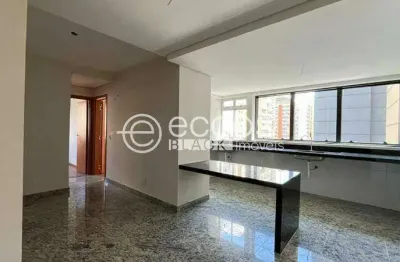 Apartamento à venda, 2 quartos, 1 suíte, 1 vaga, lourdes - belo horizonte/mg
