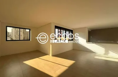 Apartamento para aluguel, 3 quartos, 3 suítes, 2 vagas, lourdes - belo horizonte/mg
