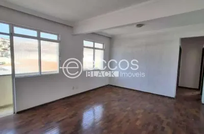 Apartamento à venda, 3 quartos, 2 vagas, renascença - belo horizonte/mg