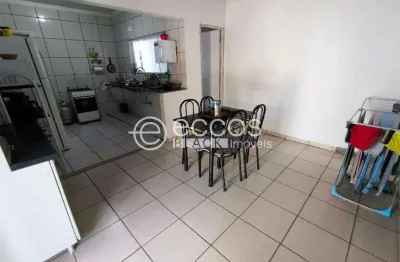 Casa à venda, 2 quartos, 2 vagas, santa luzia - uberlândia/mg