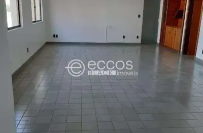 Apartamento à venda, 3 quartos, 1 suíte, 2 vagas, santa maria - uberlândia/mg