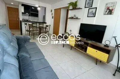 Apartamento à venda, 2 quartos, 1 suíte, 2 vagas, alto umuarama - uberlândia/mg