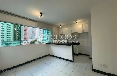 Apartamento para aluguel, 1 quarto, 1 suíte, 1 vaga, lourdes - belo horizonte/mg