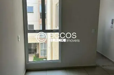 Apartamento para aluguel, 2 quartos, 1 suíte, 1 vaga, bosque - araguari/mg