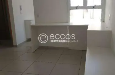Apartamento para aluguel, 2 quartos, 1 suíte, 3 vagas, bosque - araguari/mg