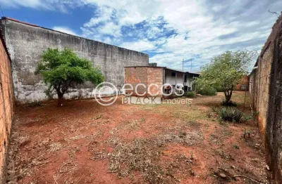 Terreno à venda na Rua do Agrônomo, 295, Jardim das Palmeiras, Uberlândia