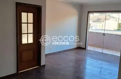 Apartamento para aluguel, 2 quartos, 1 suíte, 1 vaga, santa mônica - uberlândia/mg