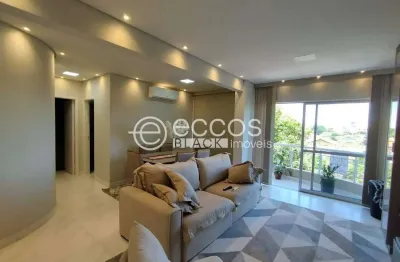 Apartamento para aluguel, 2 quartos, 2 suítes, 1 vaga, santa maria - uberaba/mg