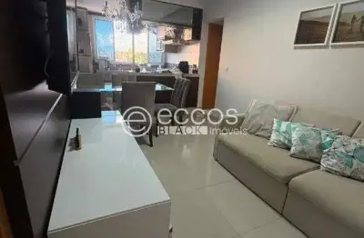 Apartamento para aluguel, 2 quartos, 1 suíte, 1 vaga, pampulha - uberlândia/mg