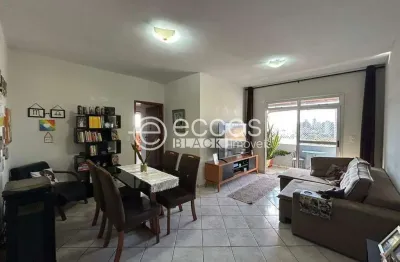 Apartamento à venda, 3 quartos, 1 suíte, 1 vaga, saraiva - uberlândia/mg