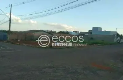 Terreno comercial à venda na Rua Branca Ferreira da Silva, 110, São Jorge, Uberlândia