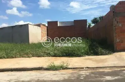 Terreno comercial à venda na Rua Coraci Matos, 69, Jardim Canaã, Uberlândia