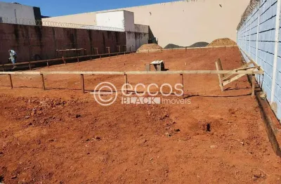 Terreno comercial à venda na Rua Cheyenne, 130, Novo Mundo, Uberlândia