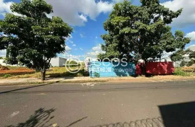 Terreno comercial à venda na Rua Dinarte José Pereira, 204, Novo Mundo, Uberlândia
