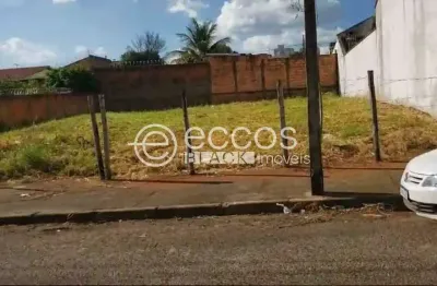 Terreno comercial à venda na Rua Leopoldo Bulhões, 82, Pampulha, Uberlândia