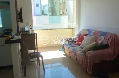 Apartamento à venda, 2 quartos, 1 suíte, 1 vaga, santa mônica - uberlândia/mg