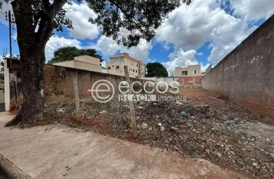 Terreno à venda na Rua Pedro José Samora, Santa Mônica, Uberlândia