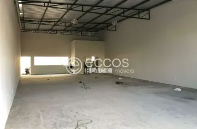 Galpão para aluguel, 3 vagas, shopping park - uberlândia/mg