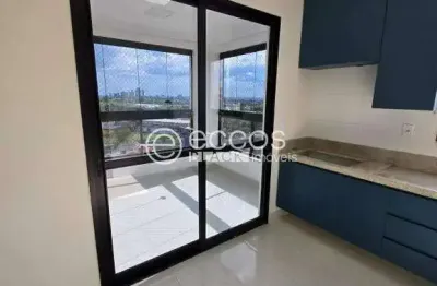 Apartamento para aluguel, 2 quartos, 1 suíte, 2 vagas, santa mônica - uberlândia/mg