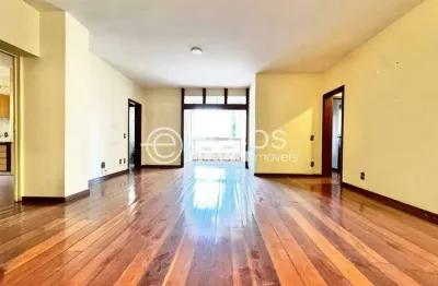 Apartamento à venda, 4 quartos, 1 suíte, 2 vagas, savassi - belo horizonte/mg