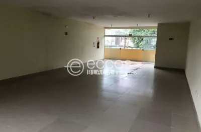 Sala comercial para alugar na Avenida Cleanto Vieira Gonçalves, Santa Rosa, Uberlândia
