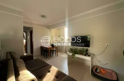 Apartamento à venda, 2 quartos, 1 suíte, 2 vagas, pampulha - uberlândia/mg