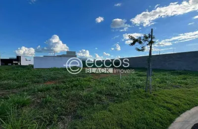 Terreno em condomínio fechado à venda na Avenida Canela Do Bosque, Novo Mundo, Uberlândia
