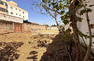 Terreno à venda na Rua Delmira Cândida Rodrigues da Cunha, Santa Mônica, Uberlândia