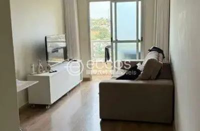 Apartamento para aluguel, 2 quartos, 1 suíte, 1 vaga, vigilato pereira - uberlândia/mg