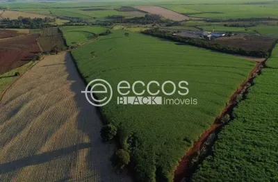 Chácara / sítio à venda na Marco 3 Na Cerca De Cima Da Via Anhanguera, Zona Rural, São Paulo