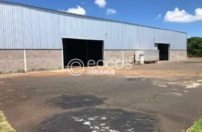 Barracão / Galpão / Depósito para alugar na Rodovia BR-050, São Jorge, Uberlândia