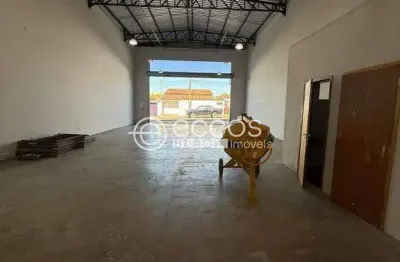 Barracão / Galpão / Depósito para alugar na Rua Augusto Machado, Luizote de Freitas, Uberlândia