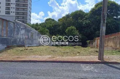 Terreno à venda na Rua Bias Fortes, Centro, Araguari