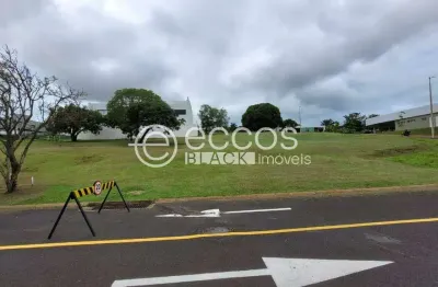 Terreno em condomínio fechado à venda na Avenida Paulo Gracindo, Gávea, Uberlândia