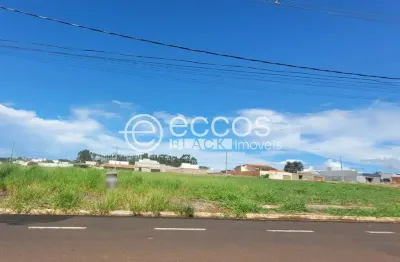 Terreno à venda na Avenida Dois, Sibipiruna, Araguari