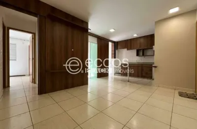 Apartamento à venda, 2 quartos, 1 suíte, 2 vagas, Presidente Roosevelt - Uberlândia/MG