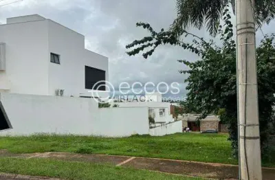 Terreno em condomínio fechado à venda na Avenida Paulo Gracindo, Gávea, Uberlândia