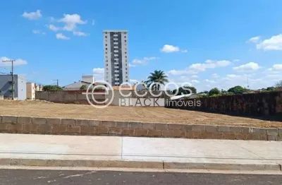 Terreno à venda na Rua João Borges Sobrinho, Parque do Mirante, Uberaba