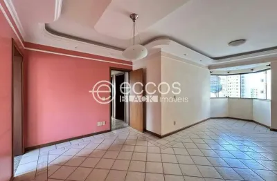 Apartamento à venda, 4 quartos, 2 suítes, 2 vagas, Santa Maria - Uberlândia/MG